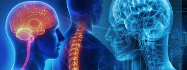 Medical and Surgical Neurology