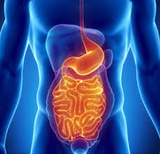 Medical and surgical Gastroenterology
